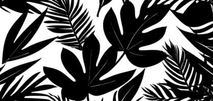 A black and white pattern with palm leaves vector