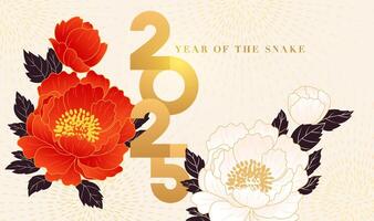 Spring Festival background design peony flowers and 2025 text title vector