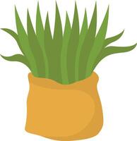 Grass in the Sack for Iranian New Year vector