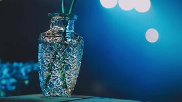 The romantic proposal includes Marry Me letters with rose petals and candles against a city skyline. The scenery creates a perfect setting for a special moment of commitment and love video