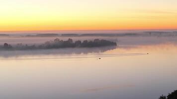 Dawn Over Calm Waters with Mist and Silhouetted Trees video