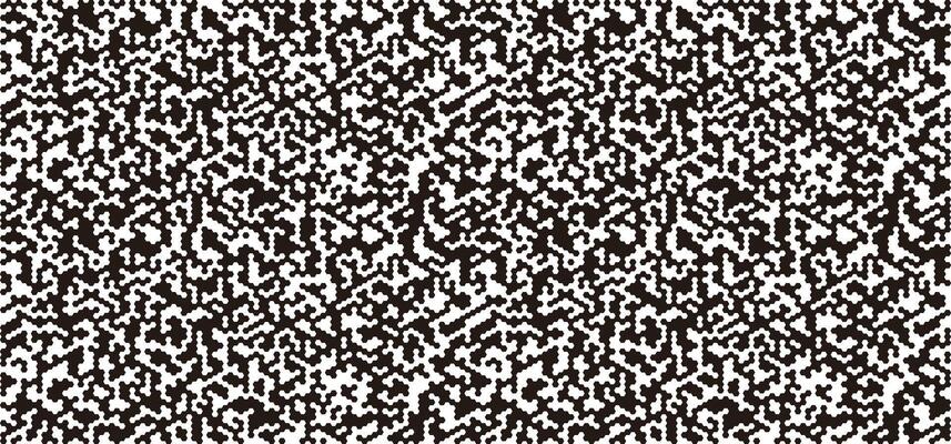 A black and white image with a pixelated texture
