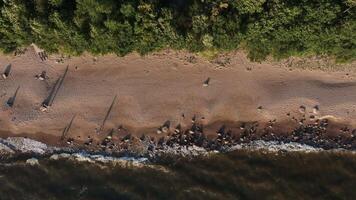 Aerial View of a Sandy Beach and Dense Tree Line with Rocks video