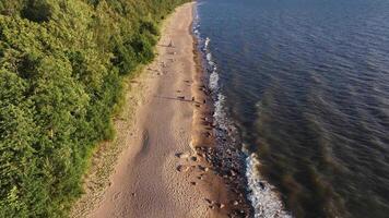 Elevated View of Sandy Beach with Dense Forest and Rocky Shoreline video