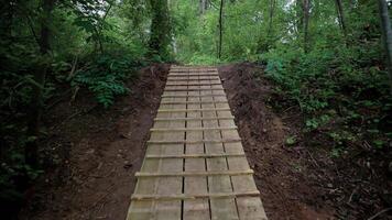 Wooden Pathway Ascending Through a Forested Area with Tall Trees video