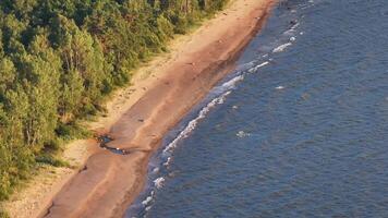 Elevated View of Curved Coastline with Sandy Beach and Dense Forest video