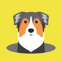 Australian Shepherd dog on the hole, watching, illustration vector