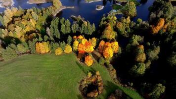 Aerial View of Autumn Forest with Mixed Trees and Water Bodies video