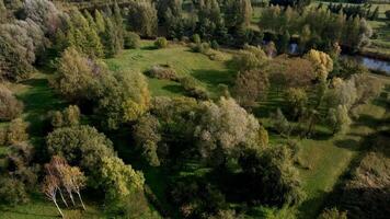 Aerial View of Botanical Garden with Diverse Trees and Stream video