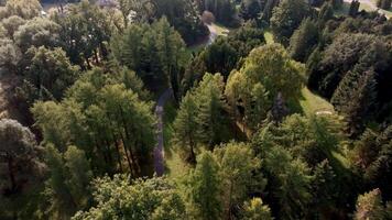 Aerial View of Botanical Garden with Winding Path and Diverse Trees video