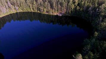 Aerial View of Circular Lake Encircled by Dense Green Forest video