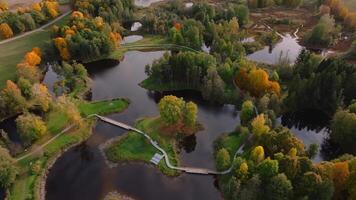 Aerial View of Interconnected Ponds and Boardwalk in Autumn video