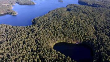 Aerial View of Coniferous Forest with Lake and Islands video
