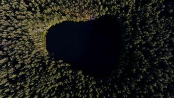 Aerial View of Heart Shaped Lake Amidst Dense Forest video