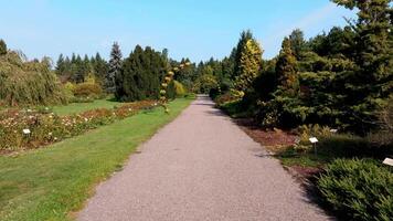 Pathway Through Botanical Garden with Diverse Trees and Flower Bed video