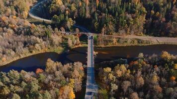 Aerial View of Bridge and Autumn Forest in Sigulda, Latvia video