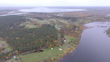 antenne visie van meer met herfst- bossen en platteland wegen video