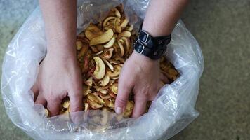 Hands Holding Dried Apple Slices with Red Peels and Golden Hue video