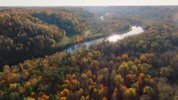 Autumn Landscape of Gauja National Park in Sigulda, Latvia video