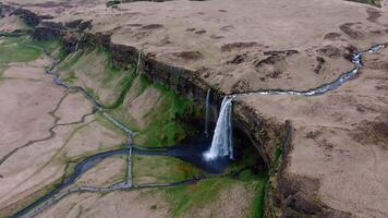 Seljalandsfoss Waterfall Cascading in Icelandic Countryside video