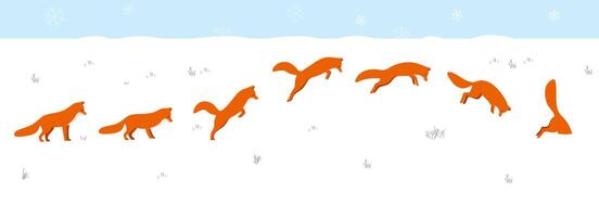 Red fox jumping and hunting on the snow vector
