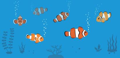 clown fish swimming in the sea, seaweed illustration vector