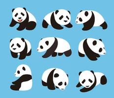cute panda baby set, flat design illustrator vector