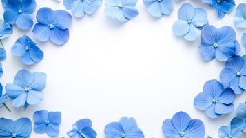 Blue flowers border frame on a white background with copy space for text. photo
