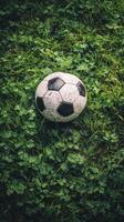 Worn soccer ball resting on grass field after a lively game in the afternoon light photo