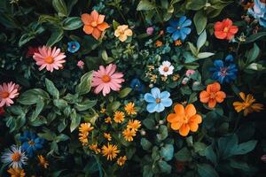 Colorful floral arrangement showcasing a variety of flowers in a lush garden setting photo
