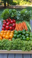 Colorful assortment of fresh vegetables arranged on a countertop for a healthy meal preparation photo