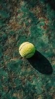 Green tennis ball resting on court surface illuminated by soft sunlight in the afternoon photo