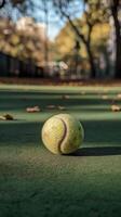 Green tennis ball resting on court surface illuminated by soft sunlight in the afternoon photo