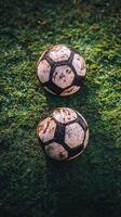 Soccer ball resting on lush green grass under natural light during a sunny day photo