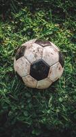 Worn soccer ball resting on grass field after a lively game in the afternoon light photo