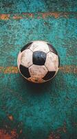 Soccer ball resting on lush green grass under natural light during a sunny day photo