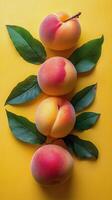 Vibrant peaches arranged with green leaves on a bright yellow background in a modern aesthetic display photo