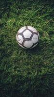 Soccer ball resting on lush green grass under natural light during a sunny day photo