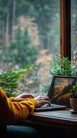 Focused individual working on laptop in cozy indoor space with plants and warm lighting photo