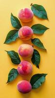 Vibrant peaches arranged with green leaves on a bright yellow background in a modern aesthetic display photo