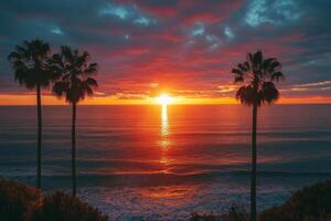 Beautiful sunset over ocean with palm trees lining the shore in a serene coastal location photo