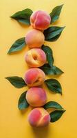 Vibrant peaches arranged with green leaves on a bright yellow background in a modern aesthetic display photo