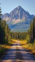 Scenic mountain landscape with a winding dirt road surrounded by lush forest photo