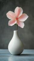 Elegant pink flower in a simple white vase against a soft gray background photo