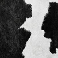 Black and white cowhide texture showcasing natural patterns and softness of leather material photo