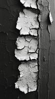 Peeling paint on a wooden surface highlights textures and contrasts in black and white photo