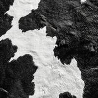 Black and white cowhide texture showcasing natural patterns and softness of leather material photo