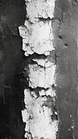 Peeling paint on a wooden surface highlights textures and contrasts in black and white photo