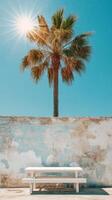 Bright sunlight illuminating a palm tree above a white picnic table against a wall photo