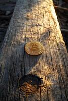 Bitcoin coin resting on a wooden surface illuminated by natural light at sunset photo